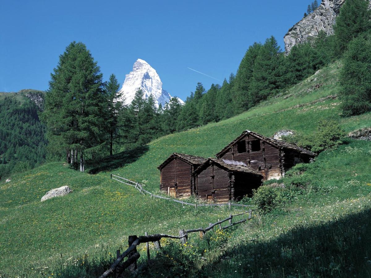 Apartment Richemont By Interhome Zermatt Eksteriør billede