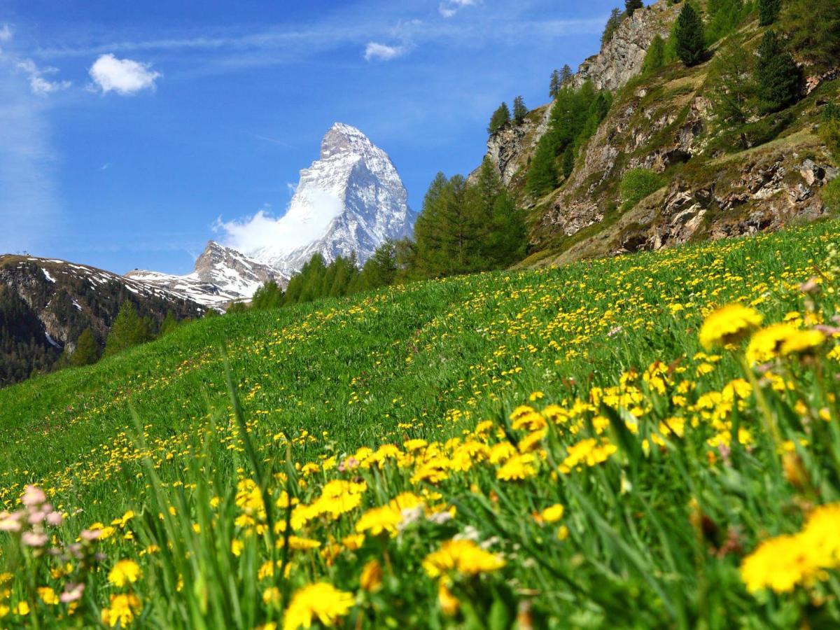 Apartment Richemont By Interhome Zermatt Eksteriør billede