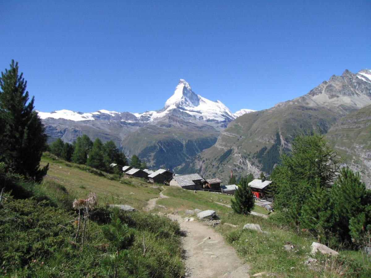 Apartment Richemont By Interhome Zermatt Eksteriør billede