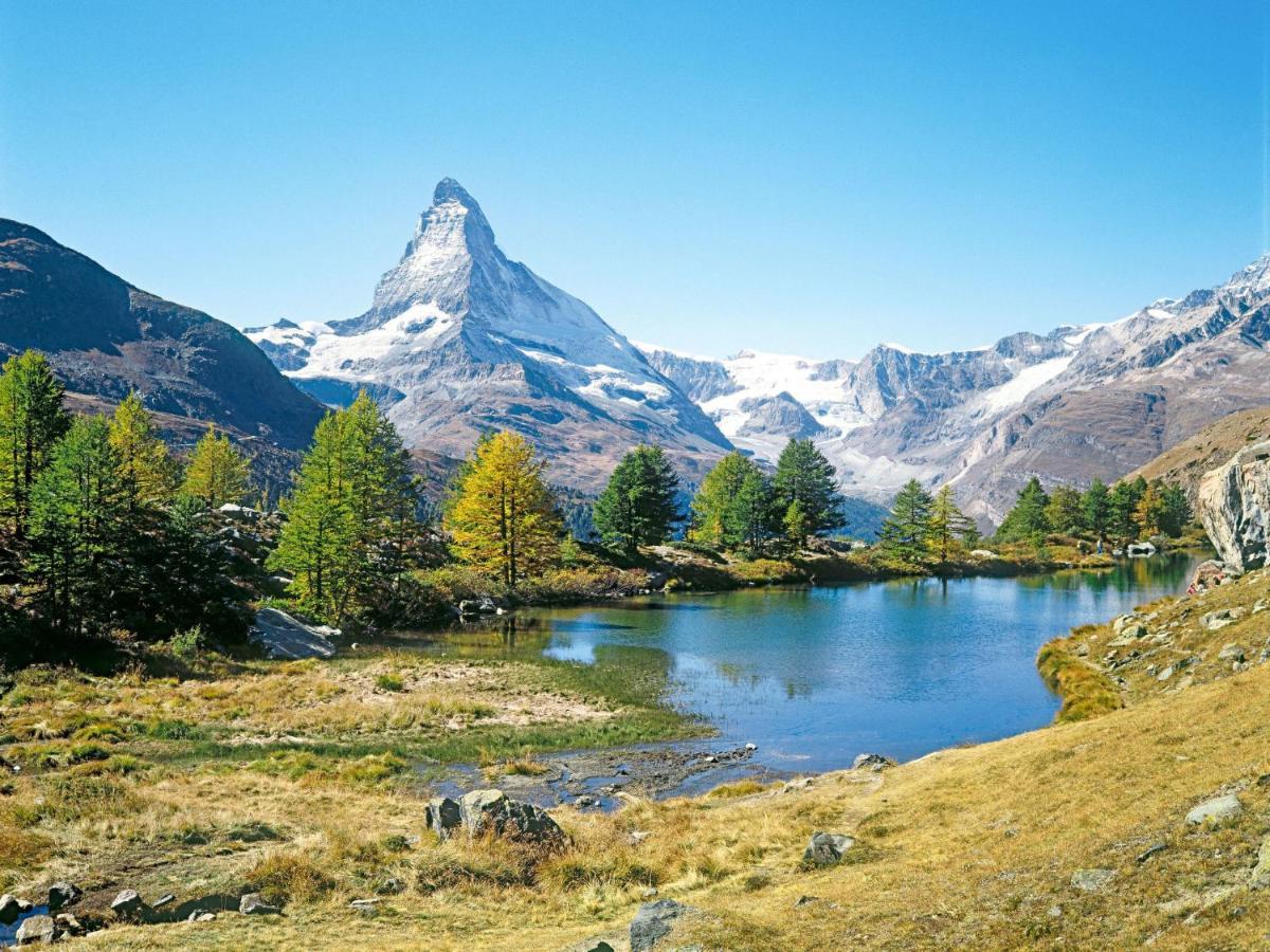 Apartment Richemont By Interhome Zermatt Eksteriør billede